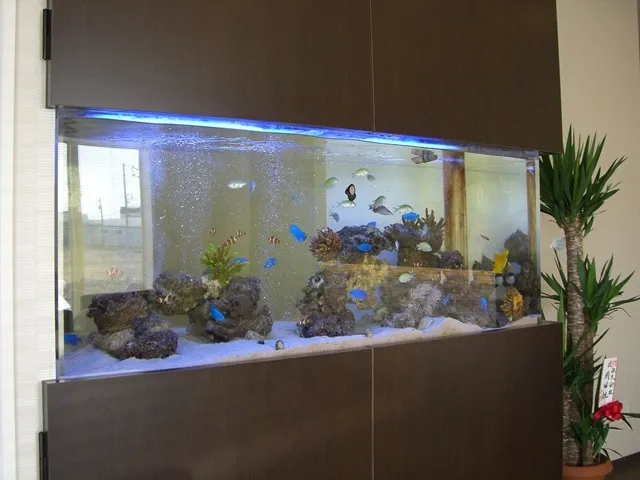 アクリル水槽 | 愛知県名古屋市で大型水槽やアクリル水槽ならアクア