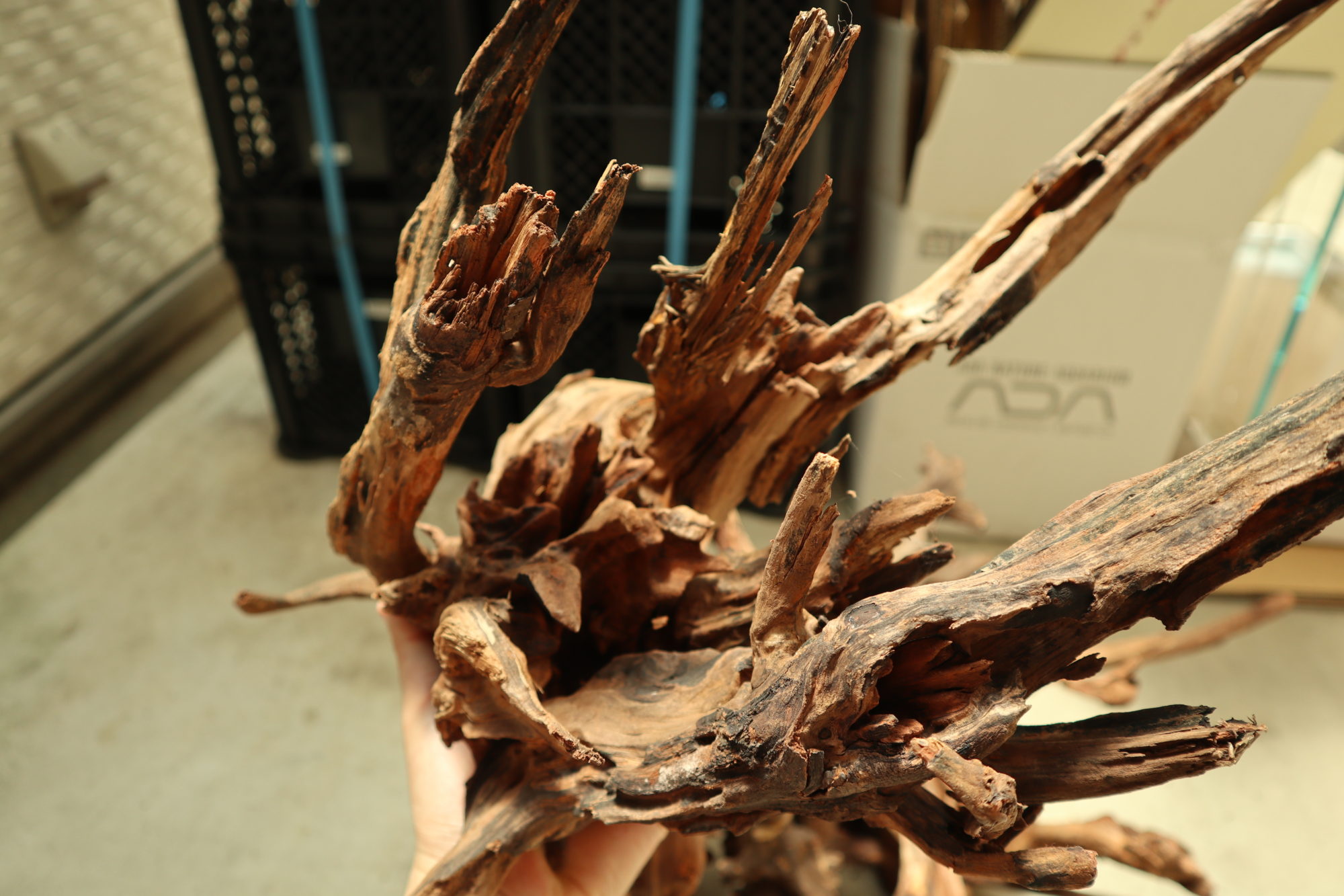 ADA ホーンウッド ada ホーンウッド 【公式通販】