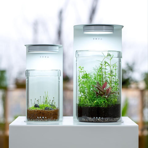 ADA DOOA ガラスポットMARU 130 マグネットライトGセット DOOA Glass