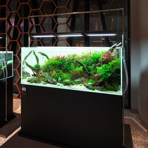 ADA Solar RGB Stand W1800mm – Aqua Forest Aquarium