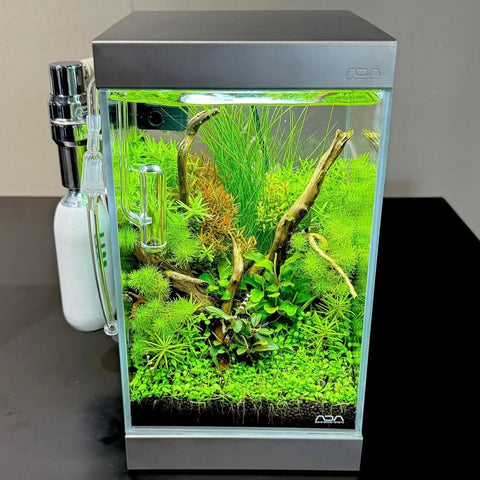 ADA ミニNAセット 150を作ってみた。 - 水草・熱帯魚・熱帯植物