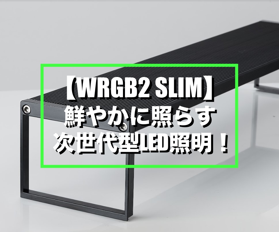 WRGB2 SLIM】鮮やかに照らす次世代型LED照明！アプリで調光ができる
