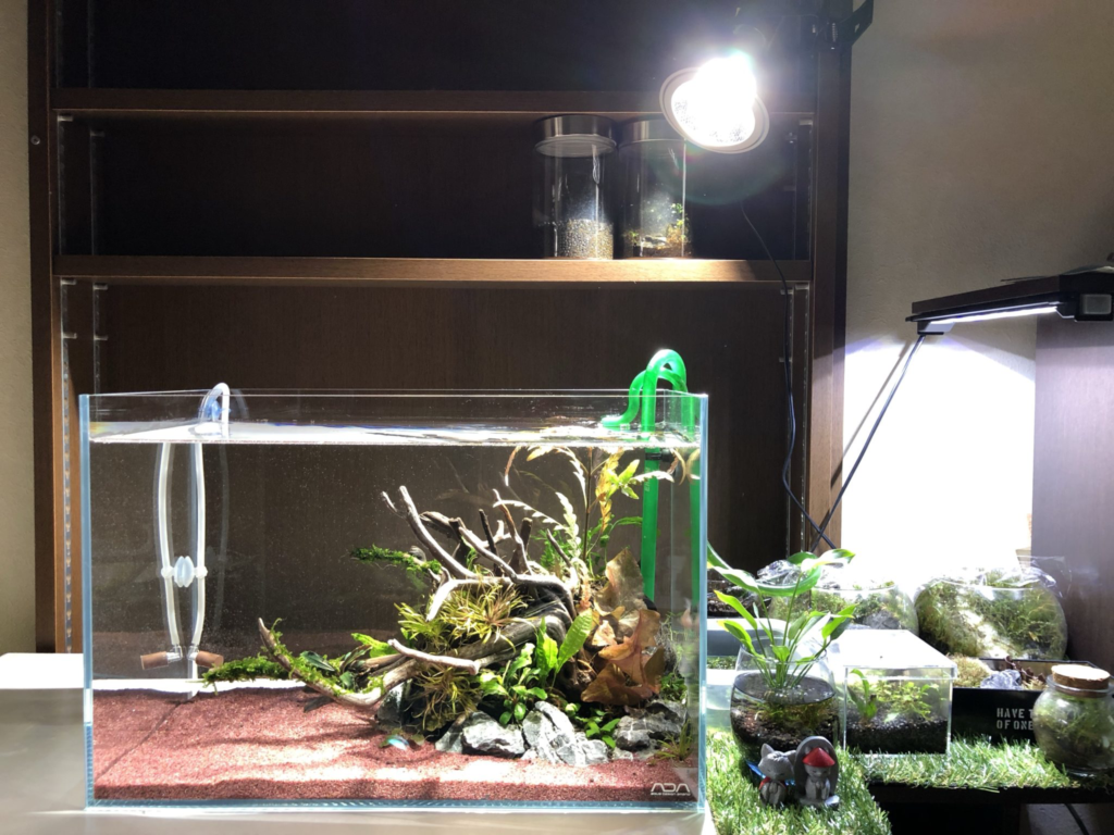 ADA Aqua Design Amano アクアスカイ RGB 60