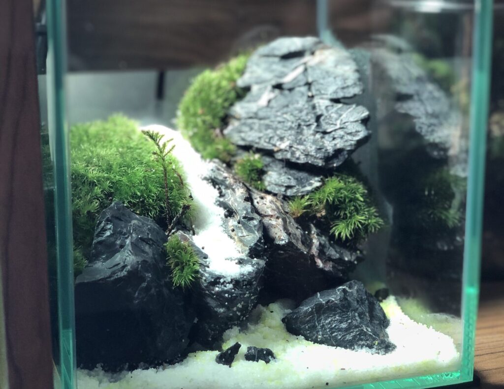 1[新品]ADA 龍王石5.8キロ☆水槽 レイアウト アクアリウム 清流石 4