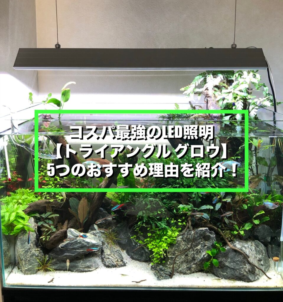 最強光量 アクロ トライアングルGrow グロウ Pro 600 8900lm 最強光量