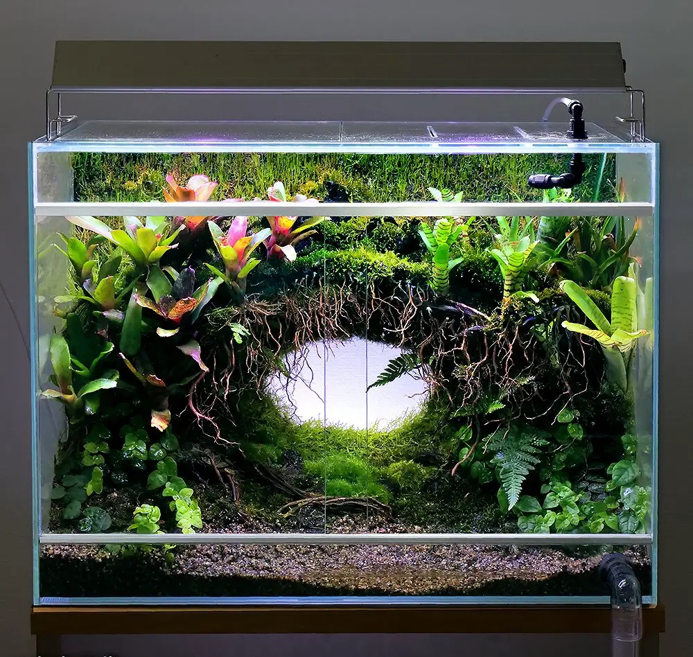 ADA キューブガーデン 水槽 60㎝ ガラス水槽 【公式通販】