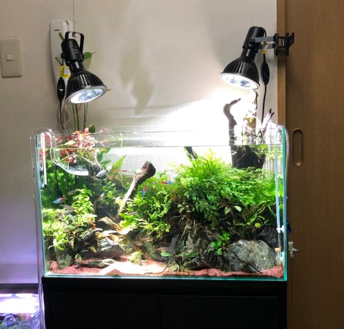 LED水草ライト 多色 3ファン マルチカラーLEDⅡとは！カラーを自在に