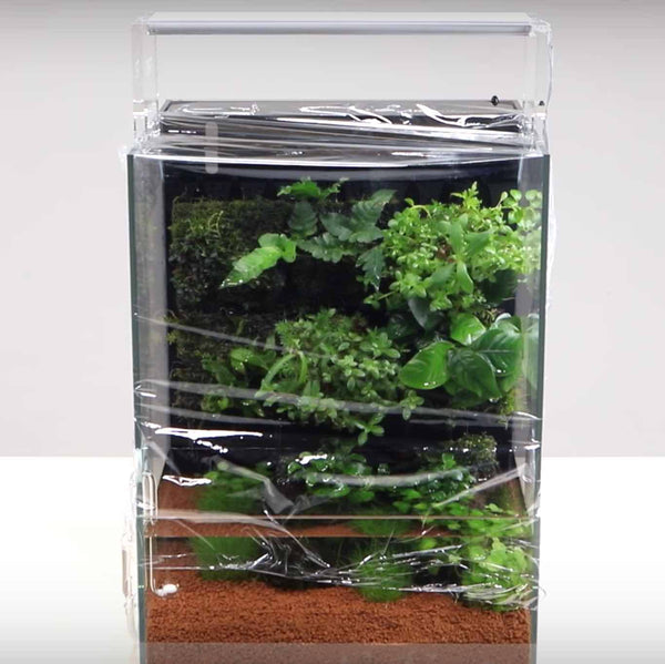 aasdaa22311_600x.jpg?v=1661824544