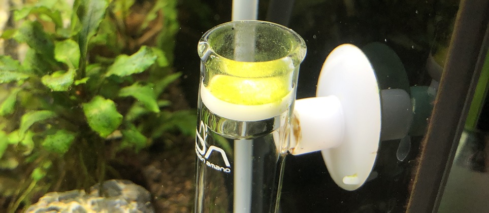 ADA「アドバンスシステム・フォレスト」を1年使用してのレビュー