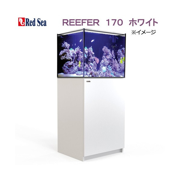 REEFER 170（リーファー170）オーバーフロー水槽の通販 | 海水魚がいる