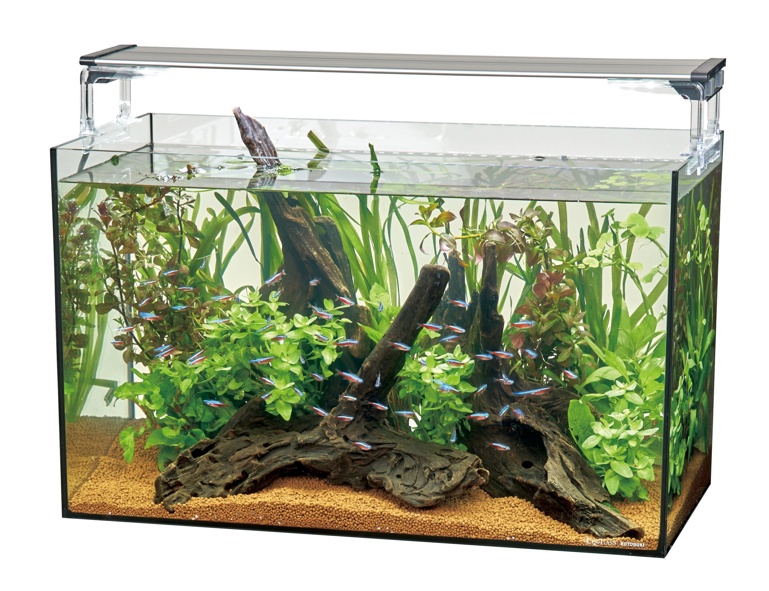 ADA Do! aqua キューブグラス 20×20×20cm