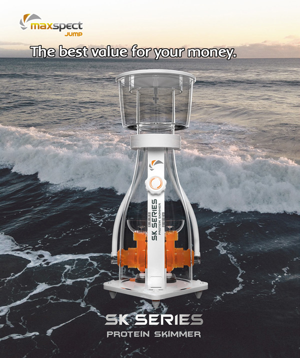 コスパ抜群】ハングオンタイプ プロテインスキマー ws-80 300l対応