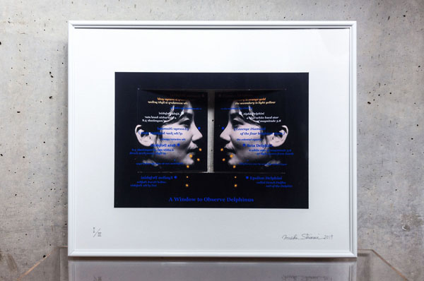 銀塩プリント・一点のみ 井上治（Osamu Inoue）フォトアート作品 静物