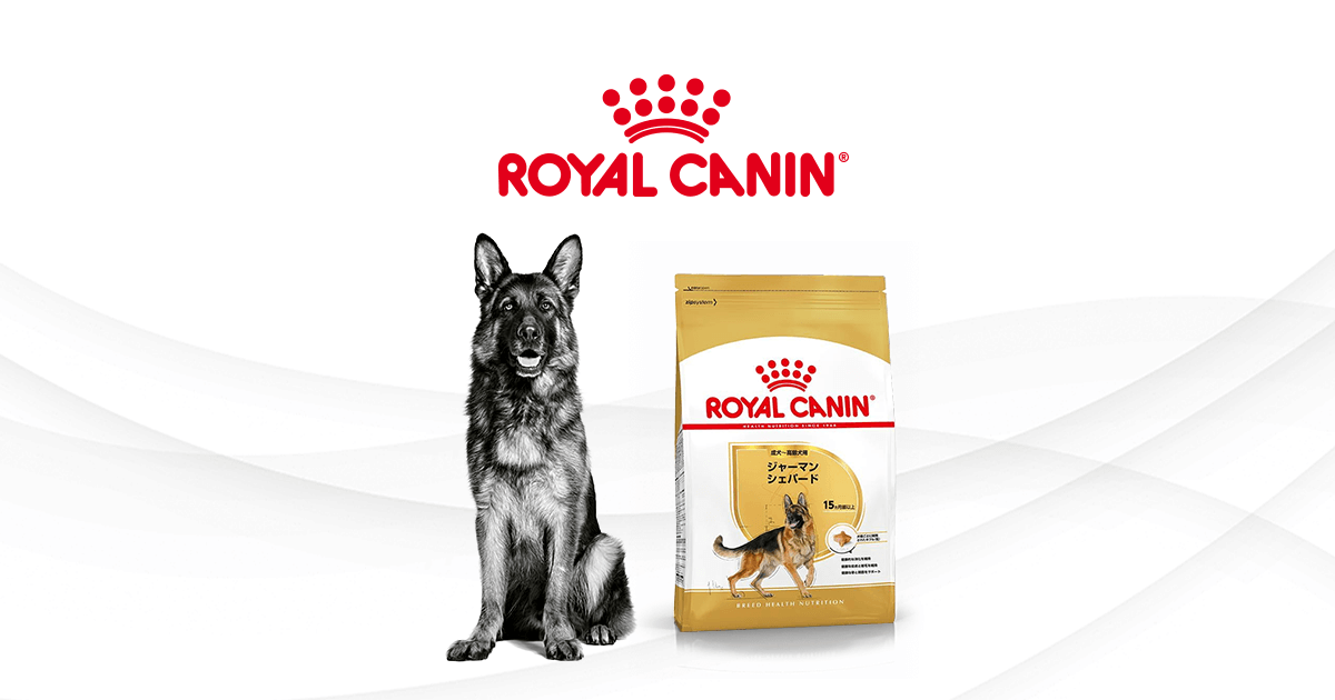 ジャーマンシェパードにはジャーマンシェパード専用フードを