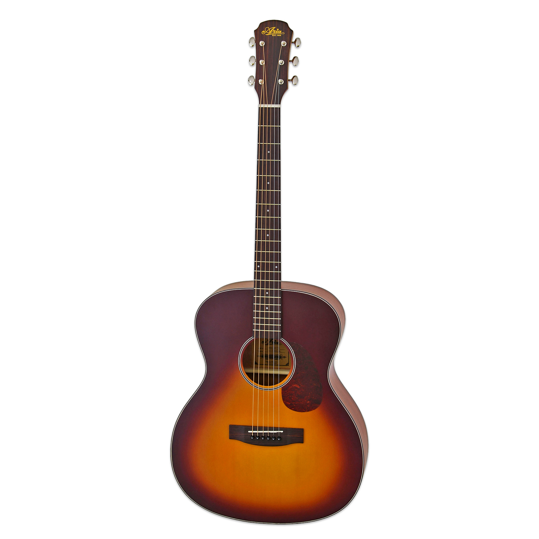 ARIA-101 - Aria Guitars - Electric, Acoustic, Classical Guitars