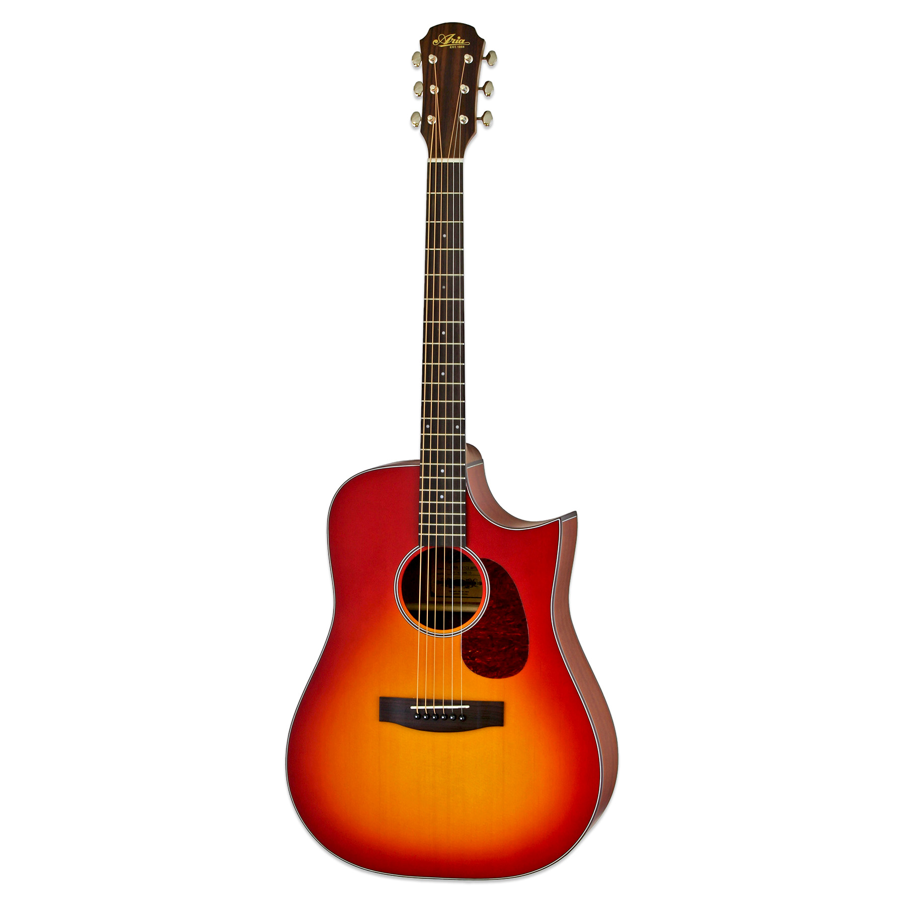 ARIA-111CE - Aria Guitars - Electric, Acoustic, Classical Guitars