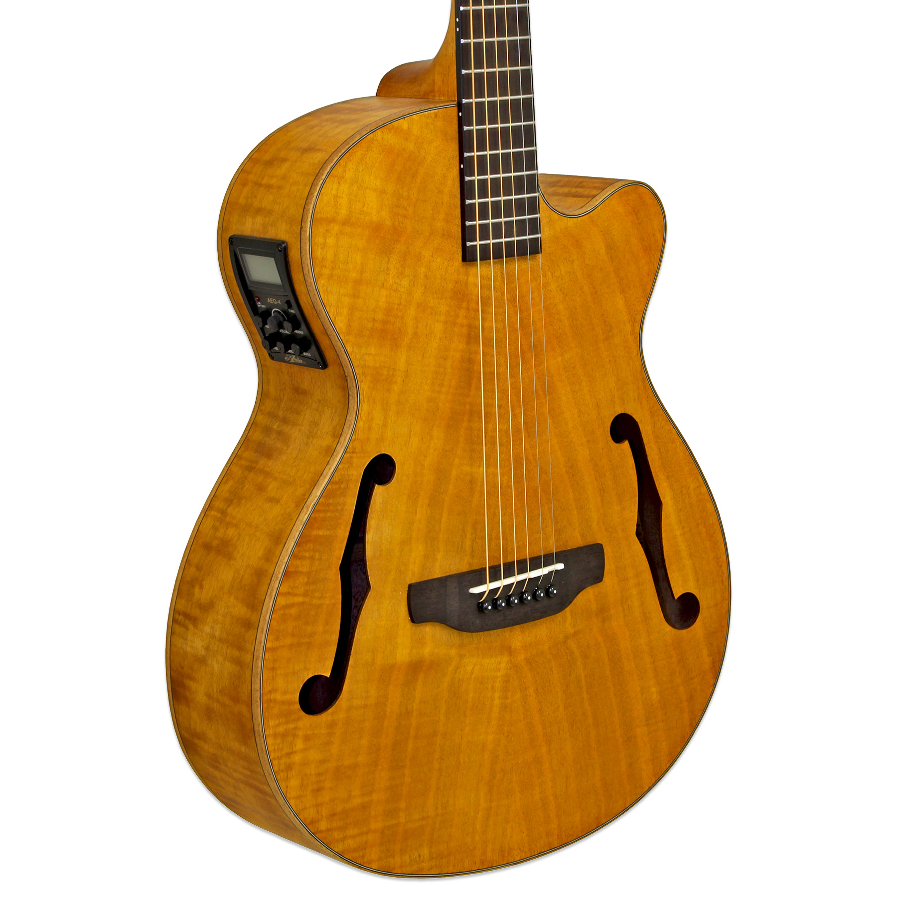 FET-F2 - Aria Guitars - Electric, Acoustic, Classical Guitars and Bass