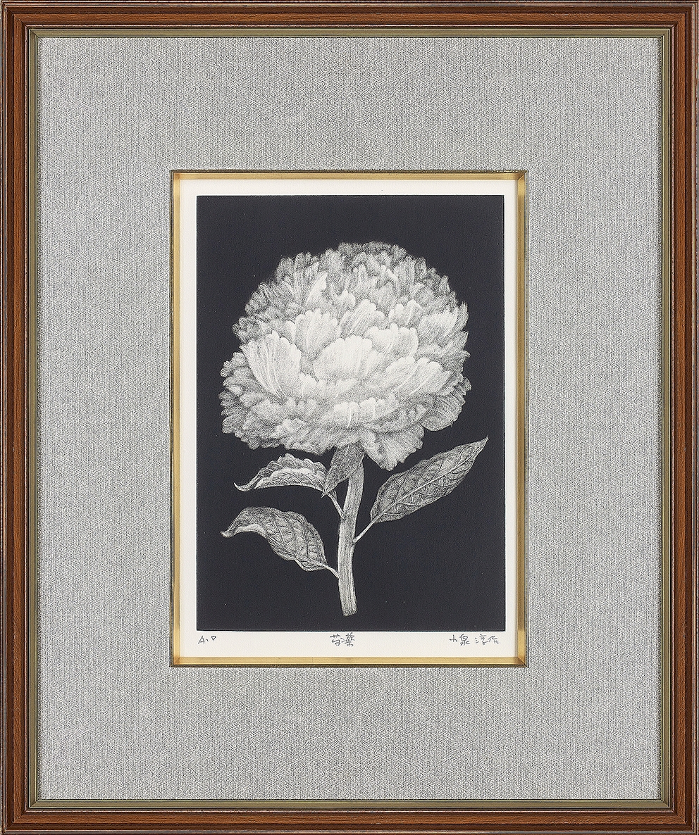 小泉淳作『 芍薬【AP版・1点限り】』 | 銅版画 | 日経アート 日本画