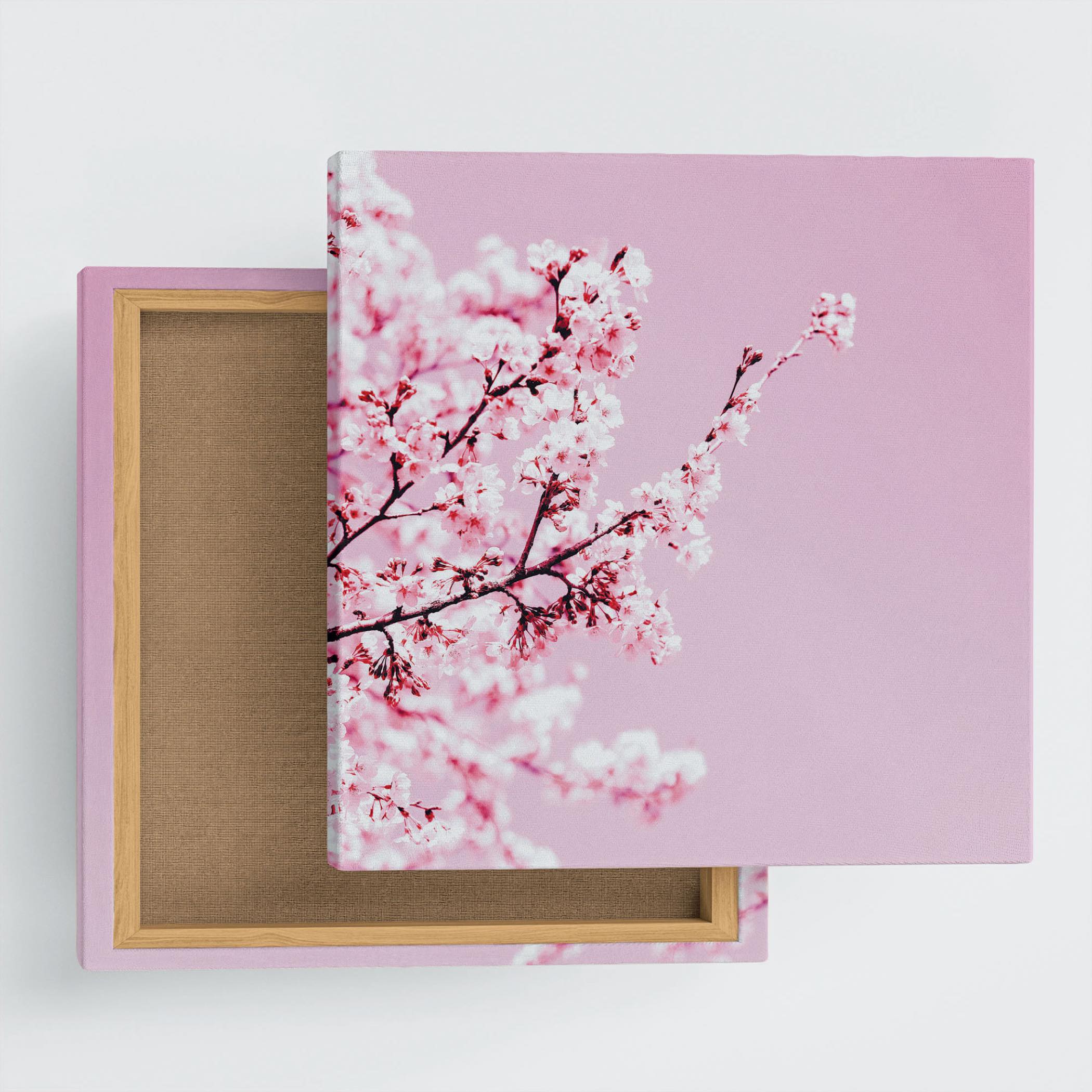 phot-2205-16.jpg?v=1722617210&