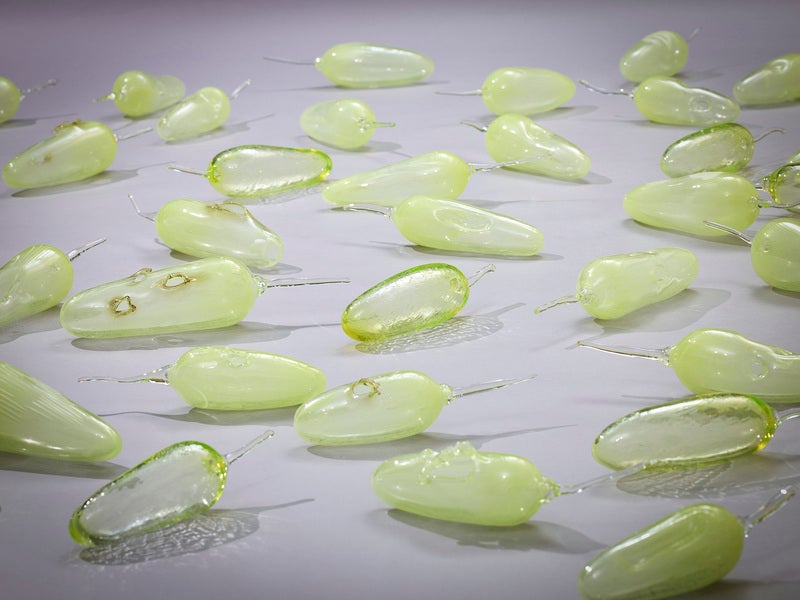 プレビュー】「彼女たちのアボリジナル・アート」 アーティゾン美術館