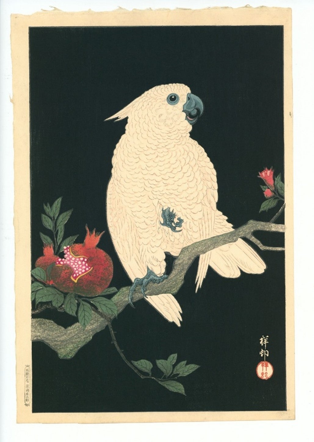 連載企画】「新版画－もうひとつの浮世絵」⑭ リアルで華麗、花鳥画の