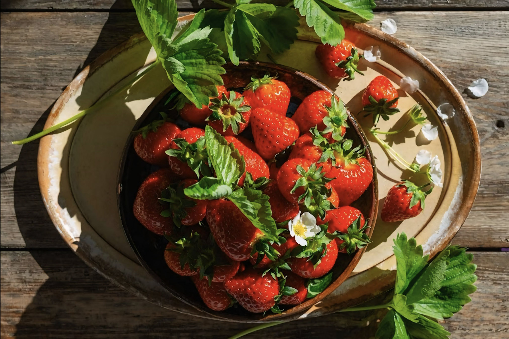 地域のいちご農園を承継し、新しい観光農園「IZU ARTH FARM」を