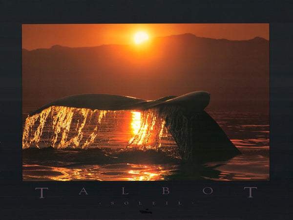 Bob Talbot 80s vintage poster 4種セット Seascape – Artistica Fine