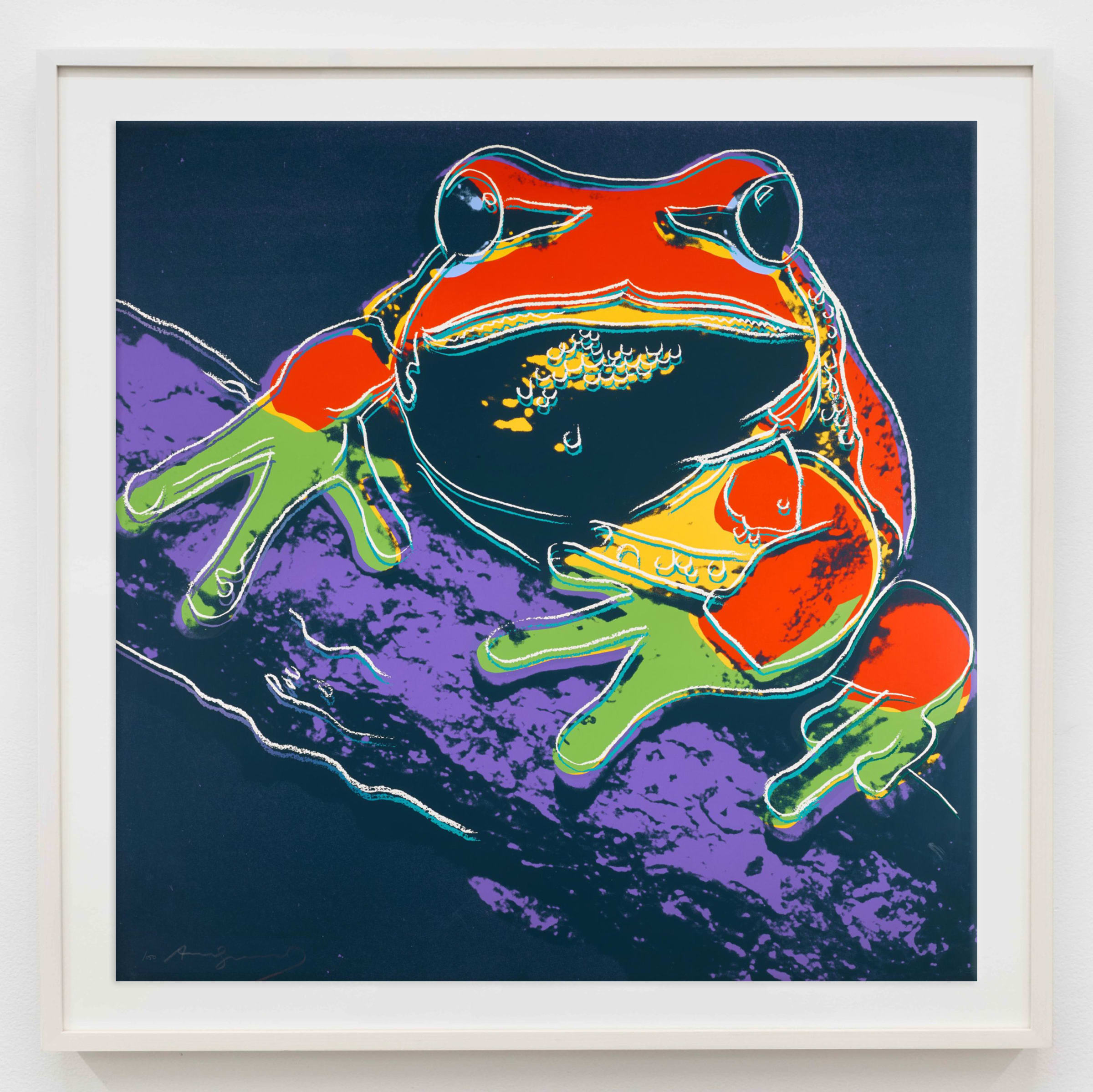 Andy Warhol, Pine Barrens Tree Frog (FS II.294), 1983 | Rukaj Gallery