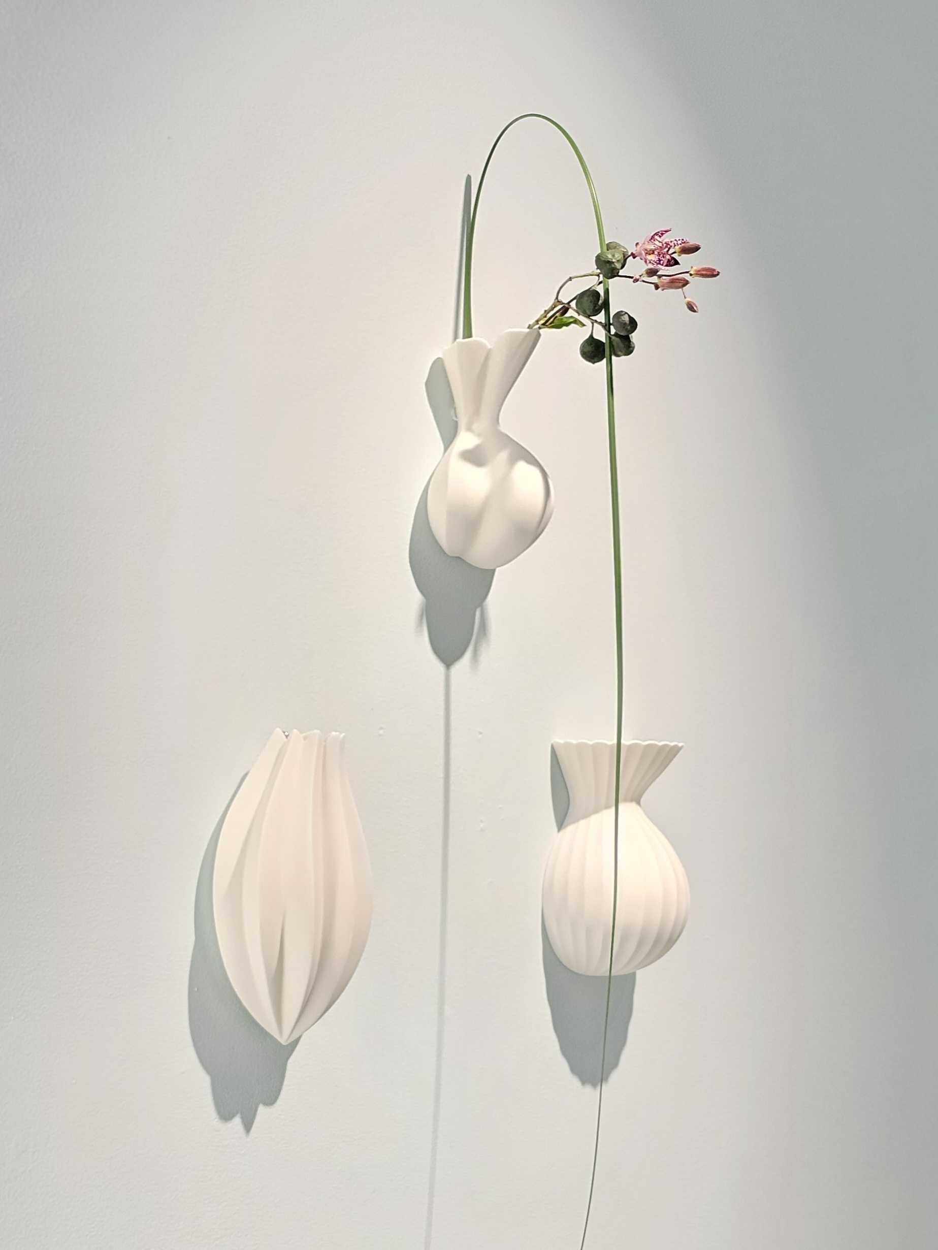 若杉聖子の具足展 – artscape