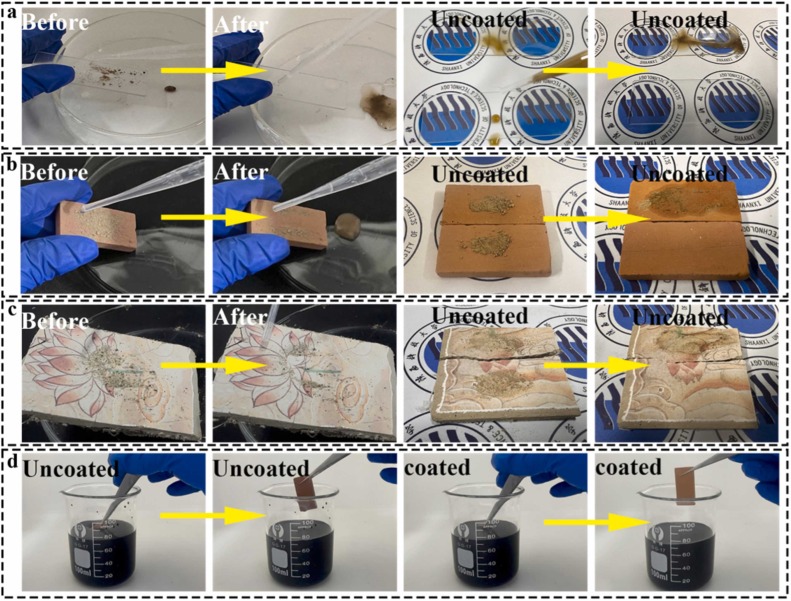 Self-cleaning SiO2@DMDMS coatings with high transparency and