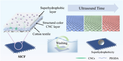 Surface engineering toward self-cleaning and color-fastness