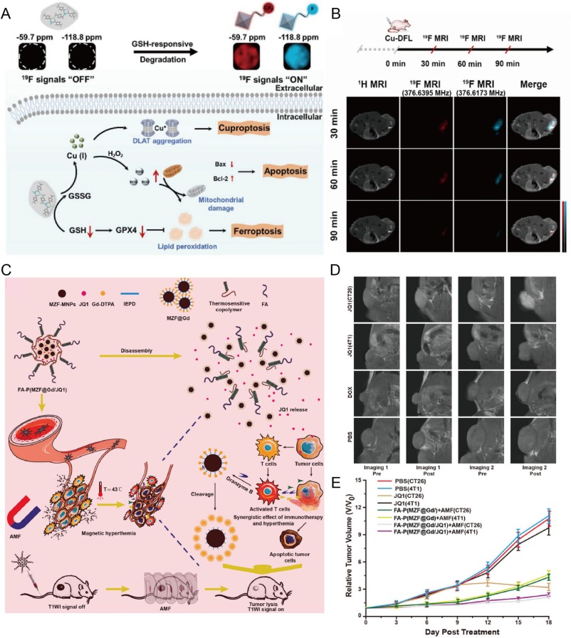 Biologically responsive and structure-tunable 1H/19F MRI