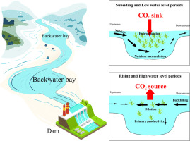 Nutrient accumulation and eutrophication restricted CO2 emissions