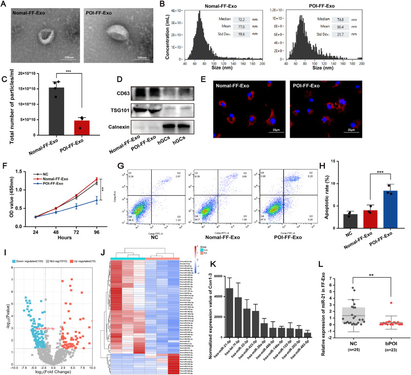 Sustained release of miR-21 carried by mesenchymal stem cell