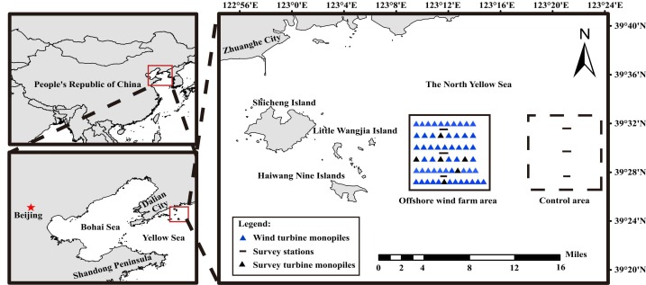 Offshore wind farms can enhance the structural composition and