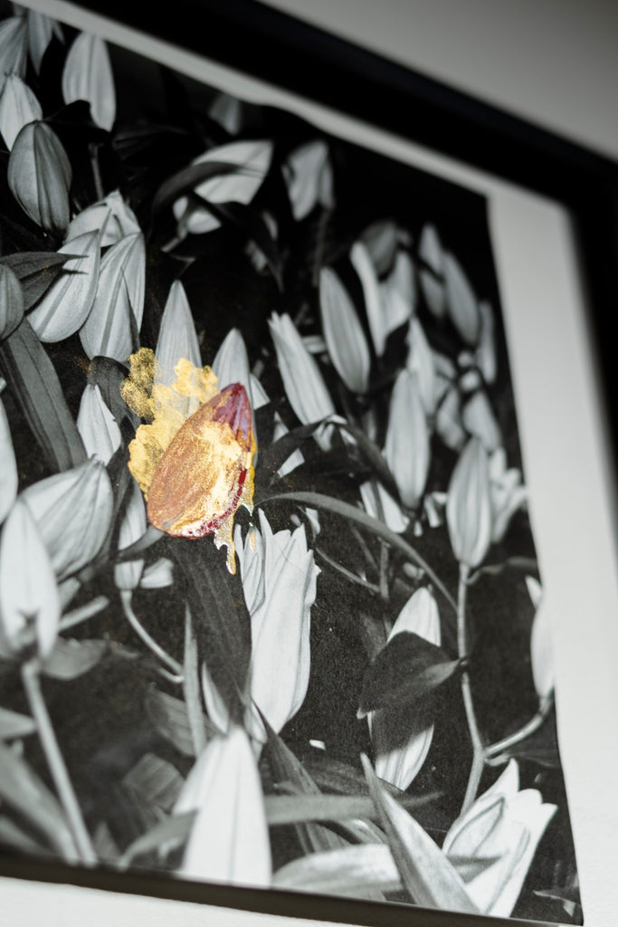 AIJPを使った写真画（ミクストメディア）作品 | アワガミファクトリー