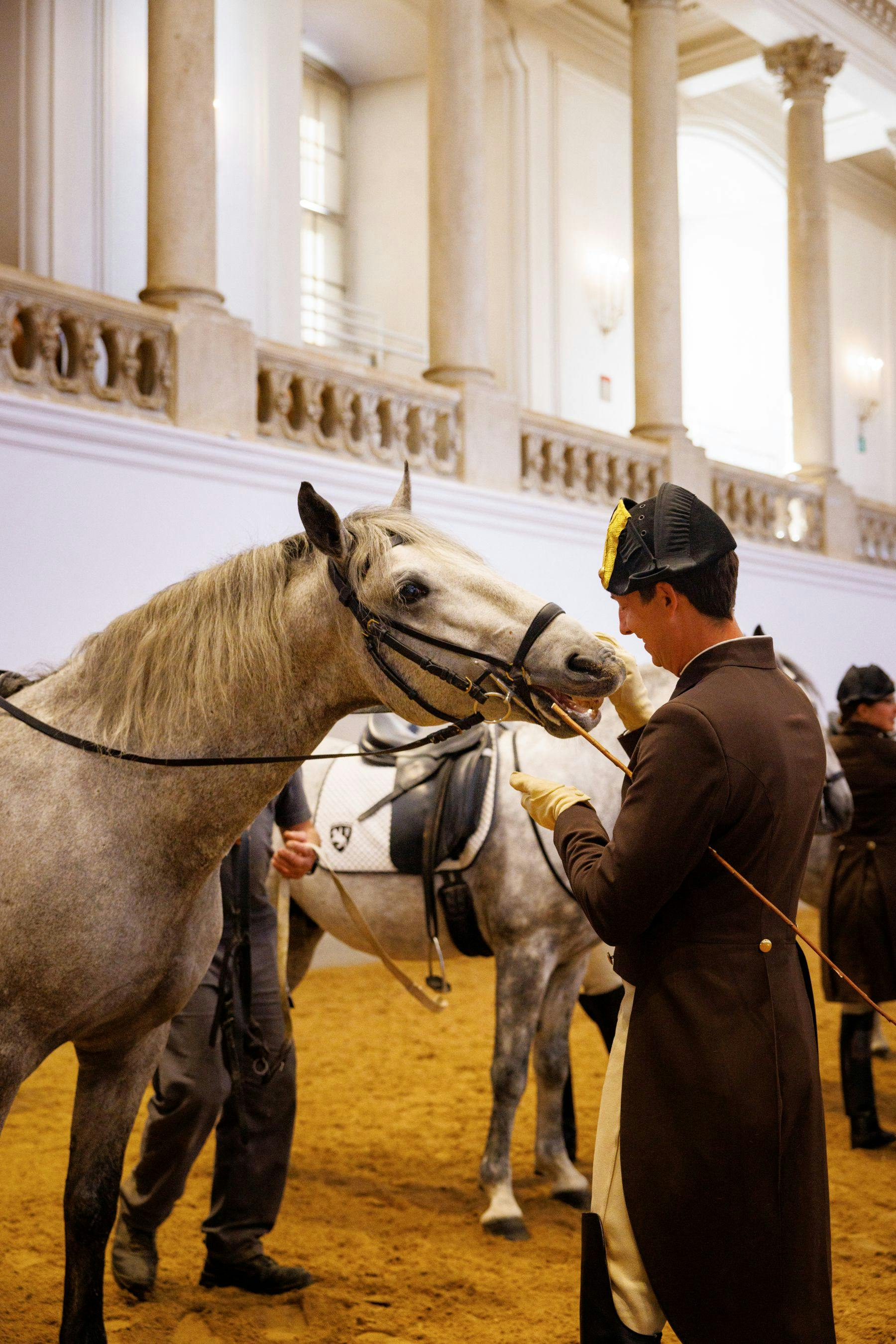 訳あり アウガルテン #74 訳あり アウガルテン スペイン乗馬学校