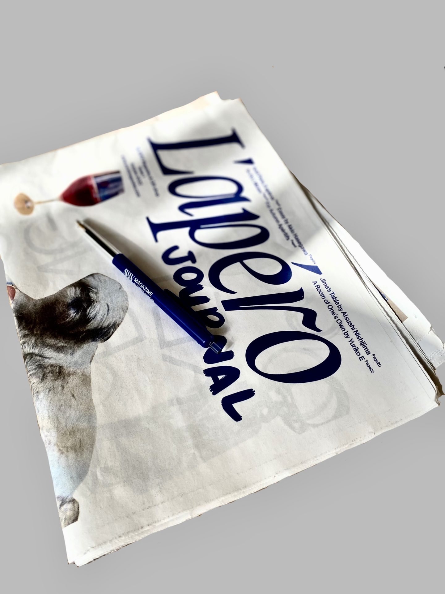 AWW | ALL WE WANT MAGAZINE & GIFT SHOP