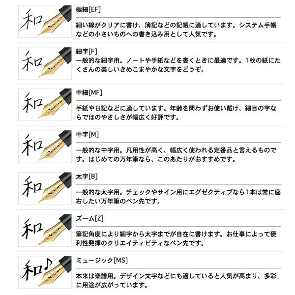 万年筆 プロフェッショナルギア 銀 ［極細(EF)/細字(F)/中細(MF)/中字
