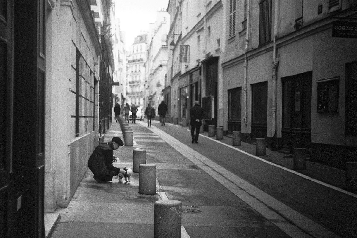 ライカ IIIf ELC とjupiter8セット (作例有) Leica IIIfとjupiter-8