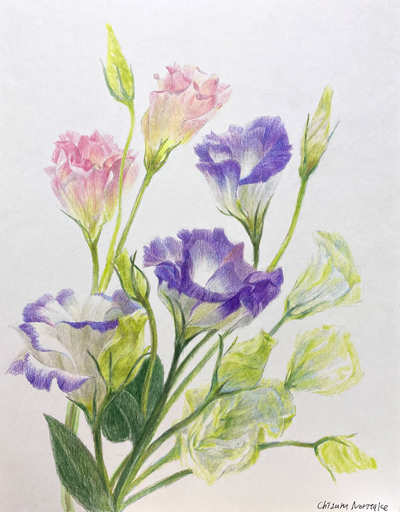 トルコキキョウのオーダーメイド絵画 | 京都市中京区 色鉛筆教室 水彩