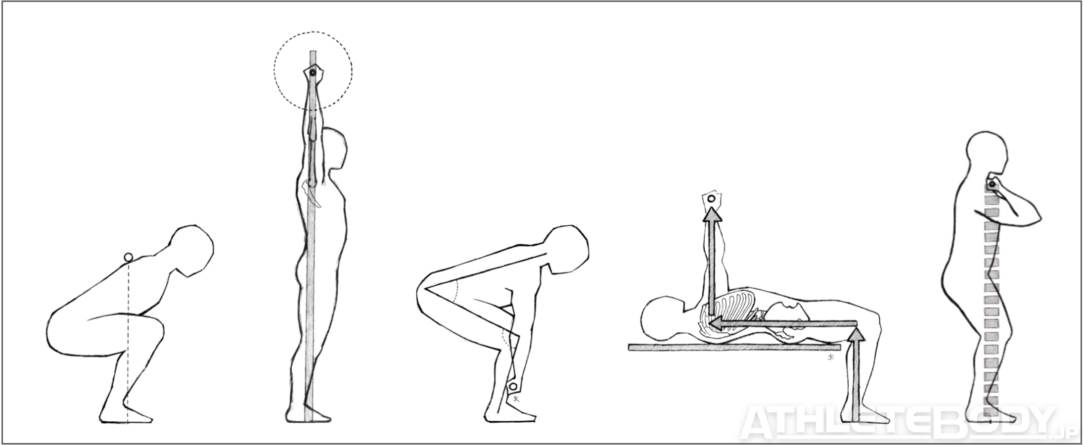 スターティングストレングスと肉体改造のピラミッド スターティング