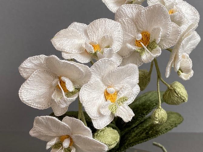 絵画作者？（胡蝶蘭と埴輪）62cm x 42cm 1980 6/120 胡蝶蘭 5本