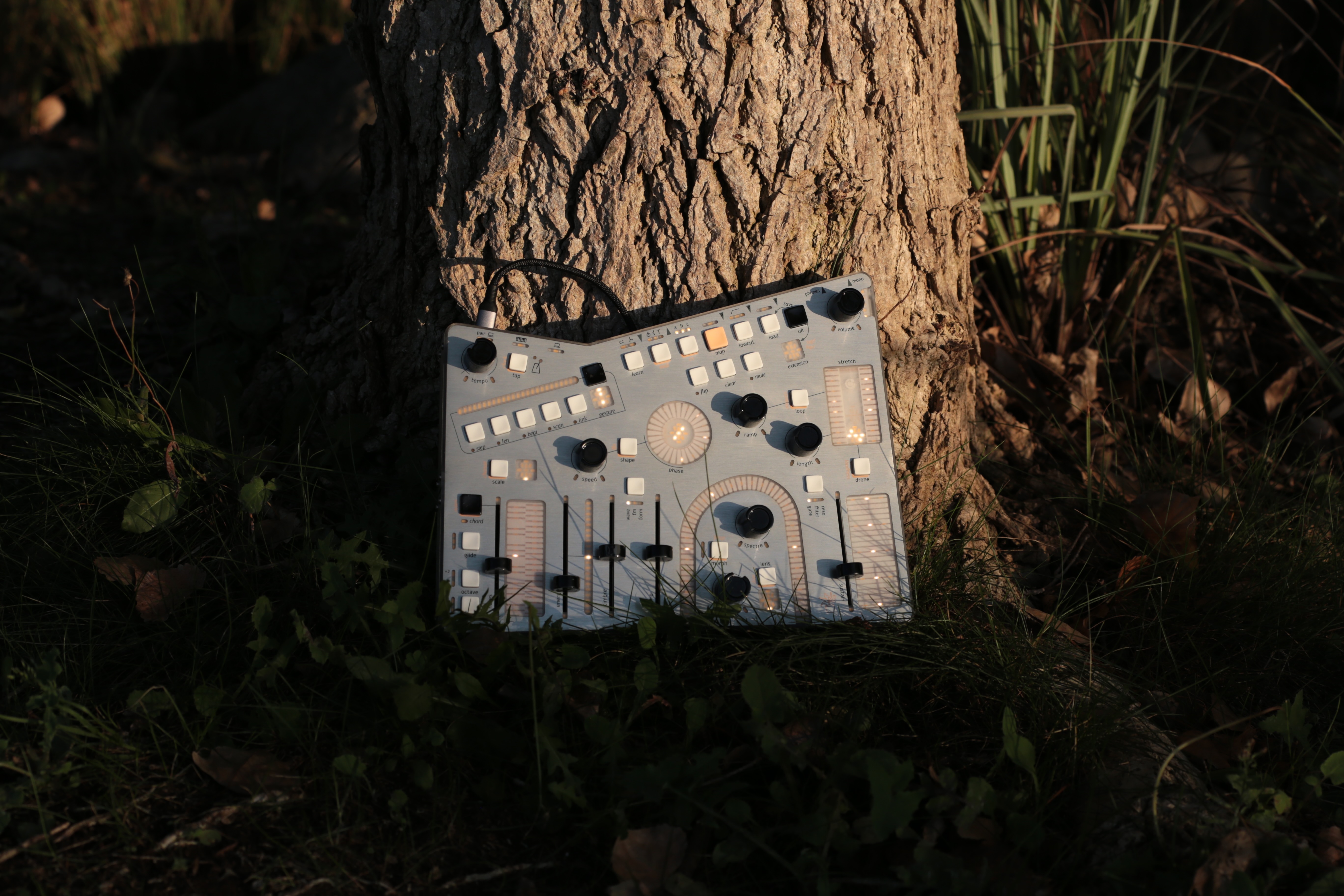 Whimsical Raps Atrium アナログシンセサイザー maxresdefault.jpg