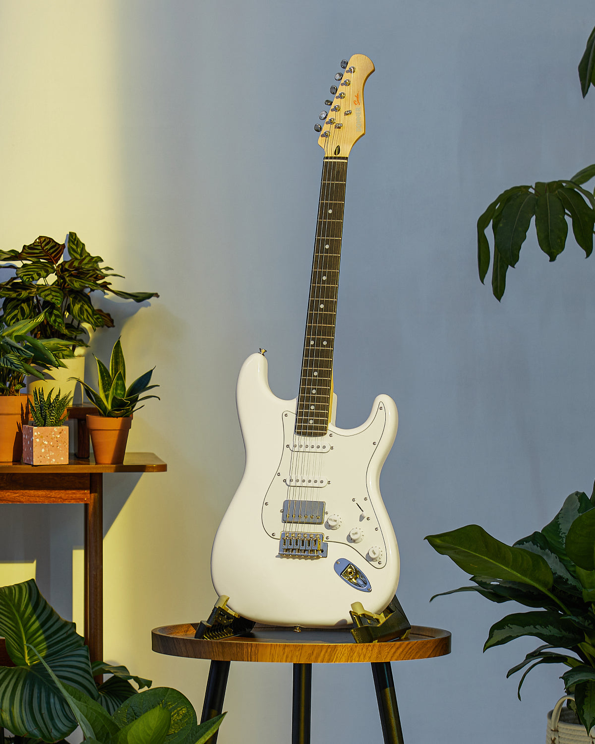 DST-152 / 39-Inch HSS Electric Guitar Kit with Coil Split and Amp