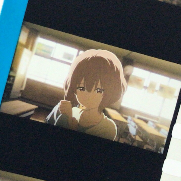 数量限定，限定セール 【特典フィルム】『聲の形』西宮硝子 小学生