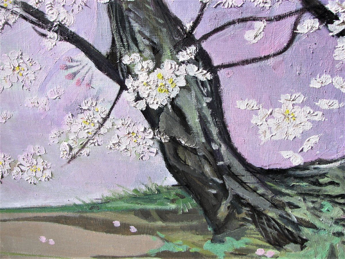 さくらの女流大家 川島眞佐 石部桜 M50号油彩 希少 さくらの女流大家