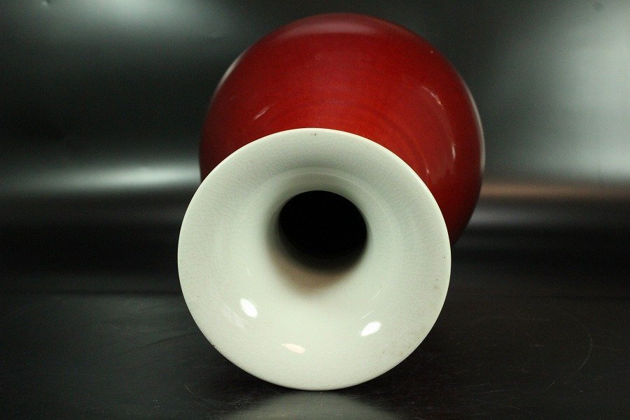 康熙官窯 五彩 五爪龍 平皿 景徳鎮 陶磁器 中国美術 康熙官