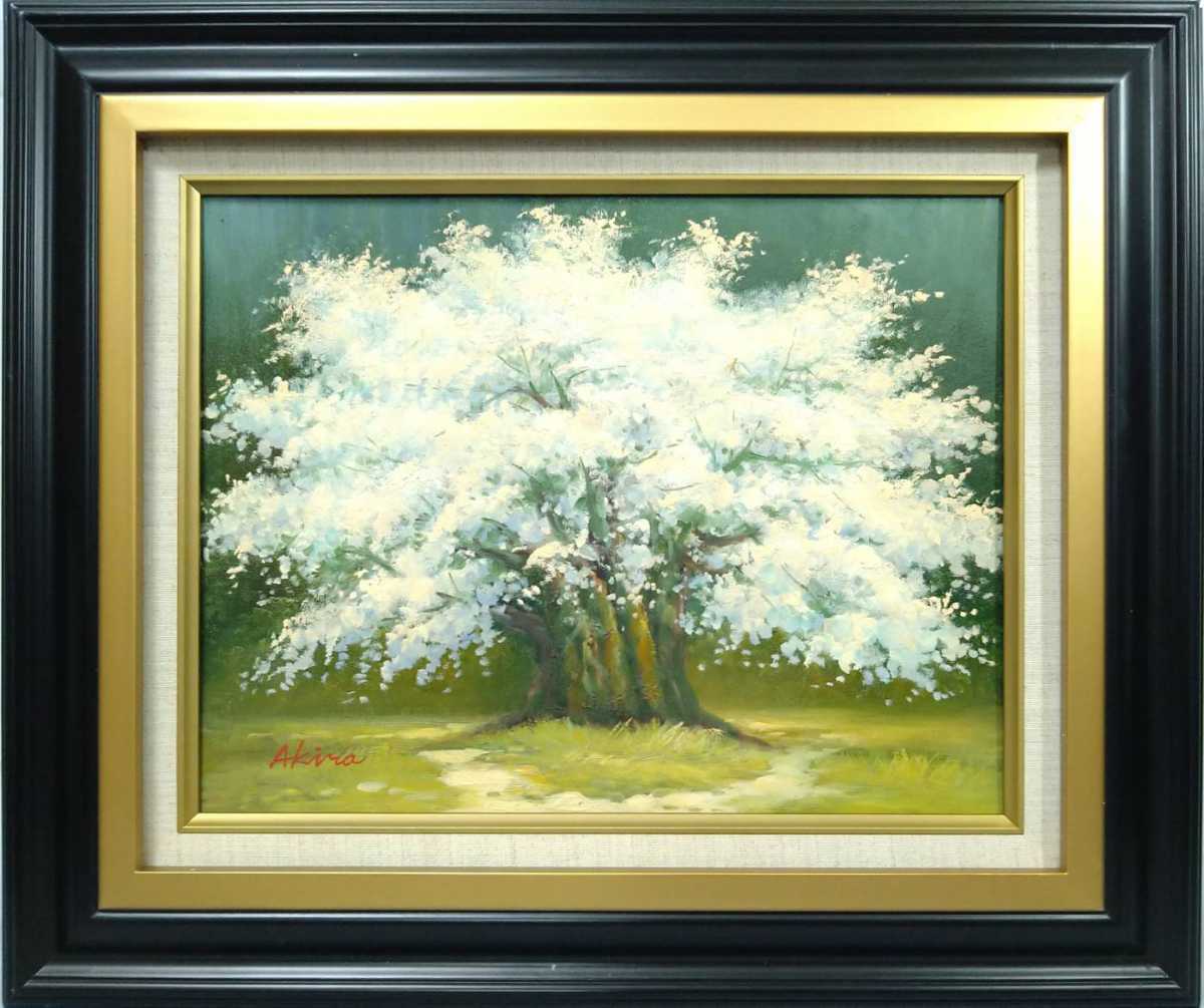 1『真作 油彩画/八千代会所属 西田彰【根尾淡墨桜】ボード画