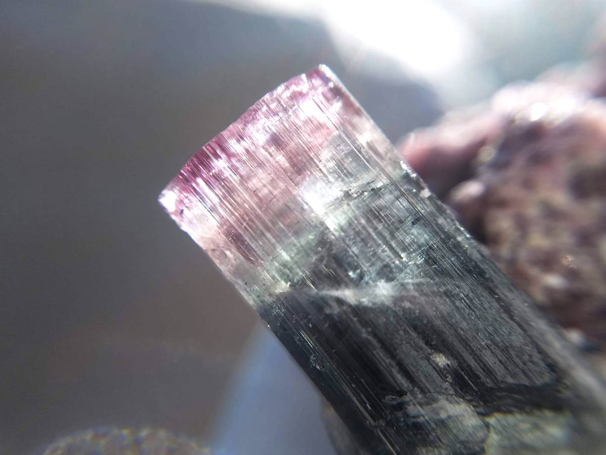 バイカラートルマリン on レピドライト ブラジル産 リシア電気石